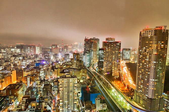 Tokyo Private Tour with Local Expert Guide – Hidden Gems - The energy of Shibuya Crossing