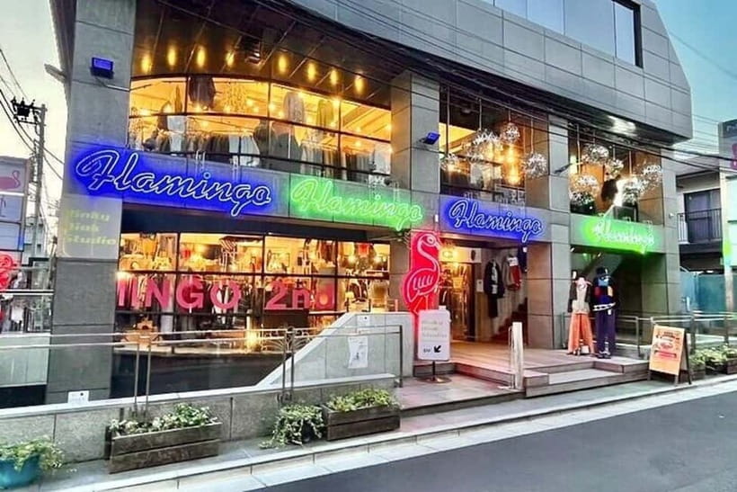 Tokyo: Private Vintage Shopping Tour in near Shibuya - Finding Clothes, T-Shirts, and Small Tokyo Keepsakes