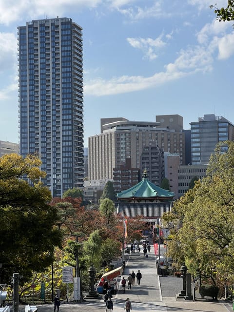 TOKYO Private visit guide Speaking French - What five hours can realistically cover