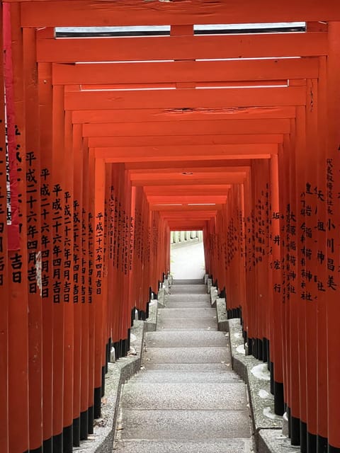 TOKYO Private visit guide Speaking French - Learning Tokyo transport without the usual first-day confusion