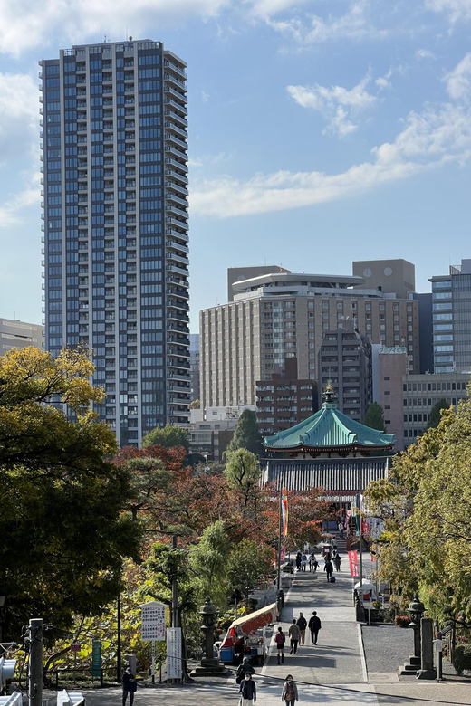 TOKYO Private visit guide Speaking French - Shibuya nightlife and a Japanese dinner