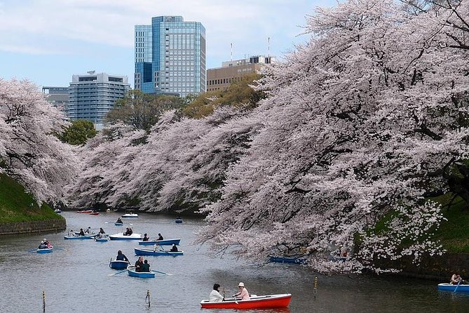 Tokyo: Private Walking Tour with a Local - Why a private Tokyo walk can be worth your first morning