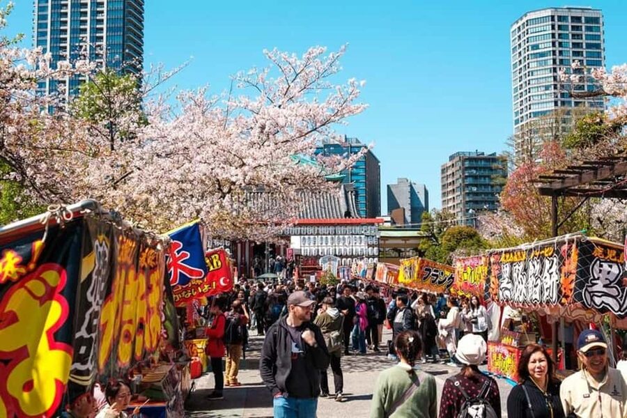Tokyo: Private Walking Tour with a Local Guide - Ginza and the Imperial Palace: polished Tokyo and national history