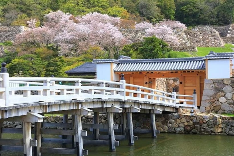 Tokyo: Pvt. Tour - Edo Castle & Imperial Palace East Gardens - Who will get the most from the two hours