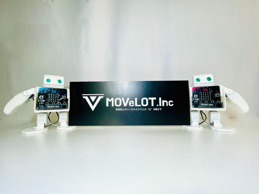 Tokyo: Robot Piloting Attraction Ticket - Why the developer story matters