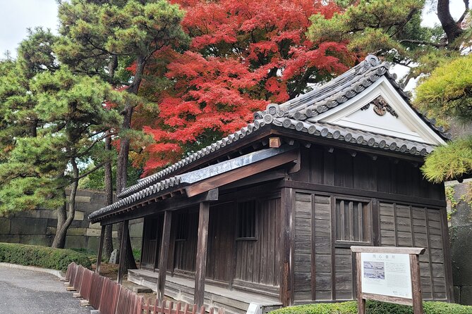 Tokyo's Imperial Palace & Nihonbashi Tour - One hour in the East Gardens and Edo Castle ruins