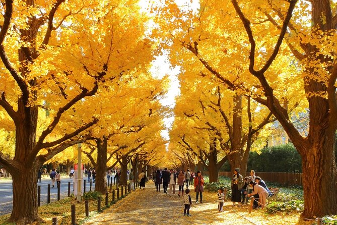 Tokyo Self-Guided Audio Tour - Shibuya Crossing and Tokyo’s art scene