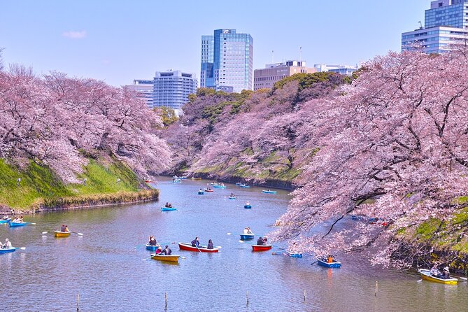 Tokyo Self-Guided Audio Tour - Shinjuku, Tokyo’s government center, and Meiji Shrine