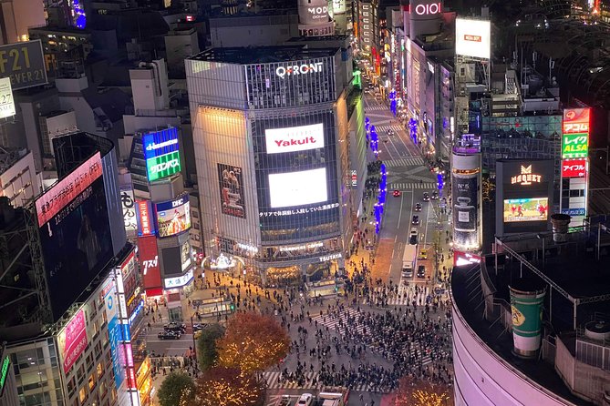 Tokyo: Shibuya Highlights Walking Tour - The guides and the small-group format