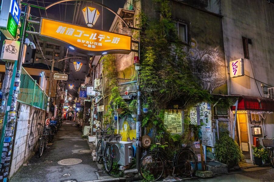 Tokyo: Shinjuku Golden Gai Bar Hopping that only locals know - Understanding the $99 price