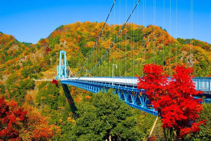 Tokyo: Spring Hitachi Seaside & Ashikaga Flower Park Tour - Starting in Tokyo and settling into the coach
