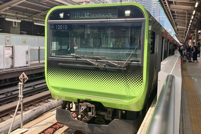 Tokyo Station Historical Walking Tour with Food and Anime - Railway platforms and Shinkansen access