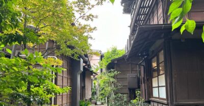 Tokyo:Stroll in Old traditional culture towns~Yanaka & Nezu - Quiet lanes and ordinary local life