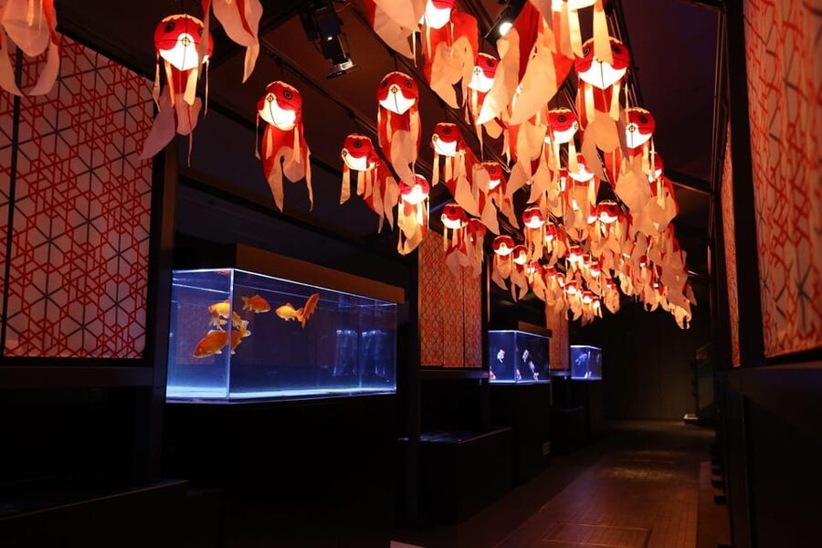 Tokyo: Sumida Aquarium Entry Ticket - Why the chairs and cafe matter