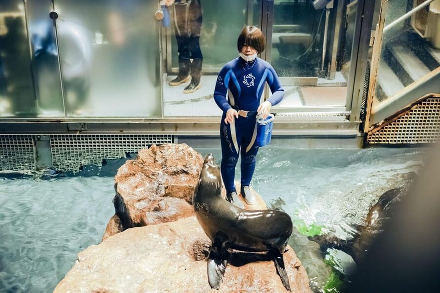 Tokyo: Sumida Aquarium Entry Ticket - How long should you allow?