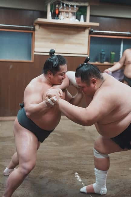 Tokyo: Sumo Keiko Training Tour with Audio Guide & Photo - Understanding sumo with the audio guide