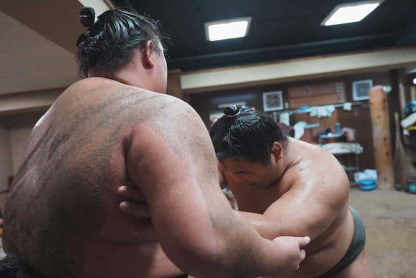 Tokyo: Sumo Keiko Training Tour with Audio Guide & Photo - What the $85 price really covers