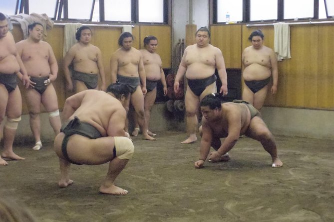 Tokyo Sumo Morning Practice Tour at Stable - Photos, questions, and the end of the visit