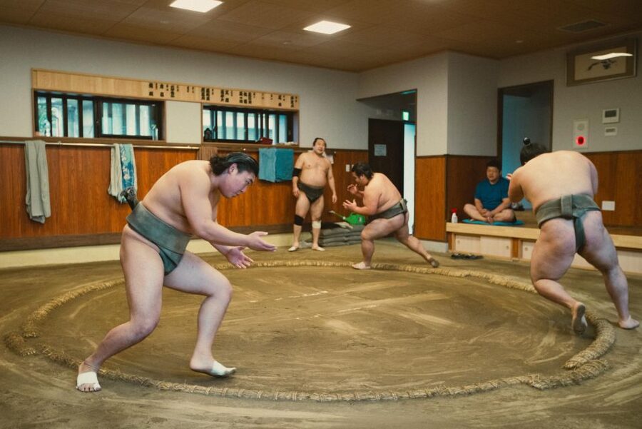 Tokyo: Sumo Morning Practice Tour at Sumida City - Is the $116 Price Fair?