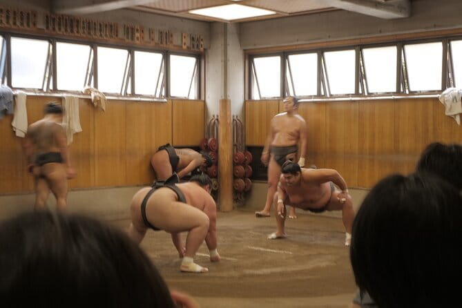 Tokyo Sumo Morning Practice Tour w/ Ring-Side Seat + Photo Shoot