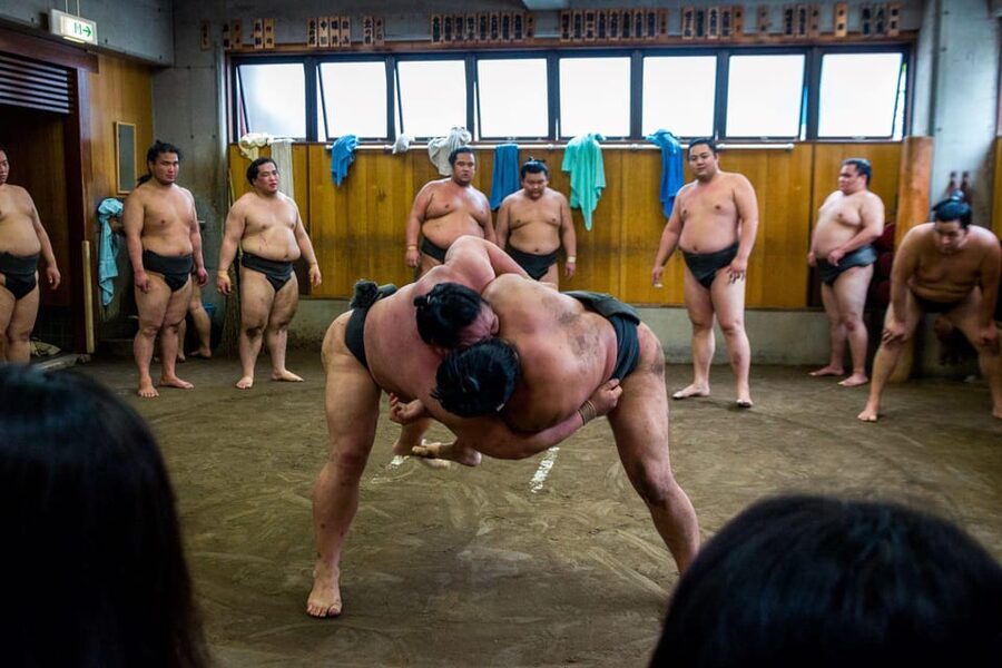 Tokyo: Sumo Morning Practice Viewing Tour - Key points to know before booking