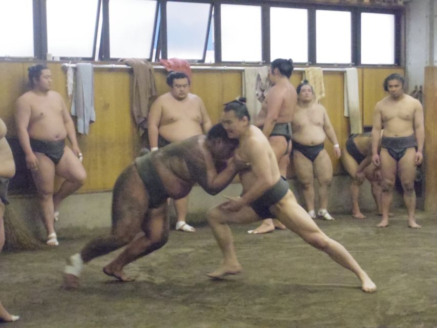 Tokyo: Sumo Morning Practice Viewing Tour - Should you book the Tokyo sumo practice tour?