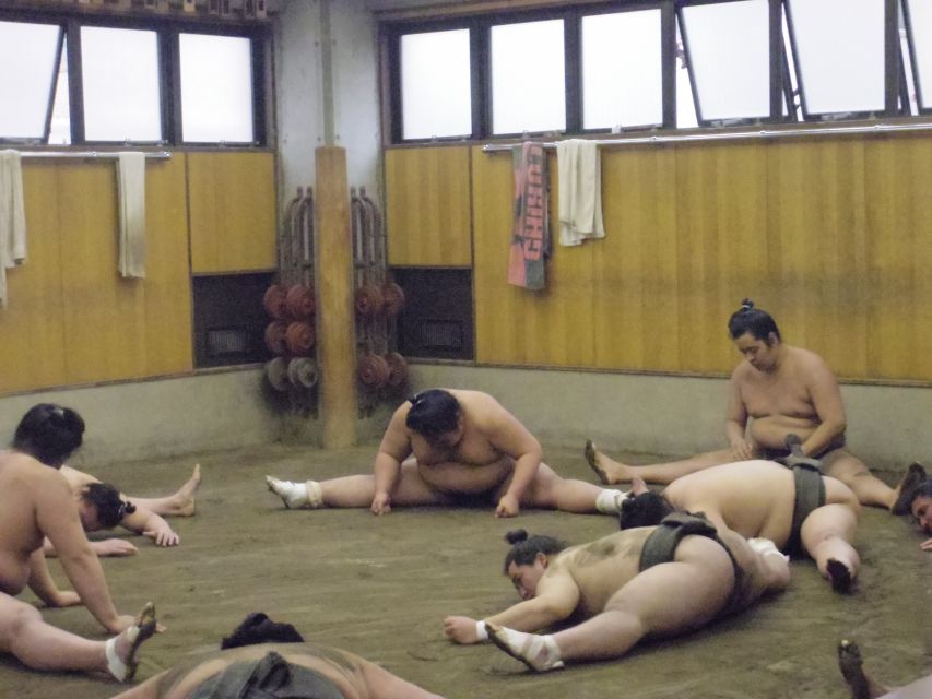 Tokyo: Sumo Morning Practice Viewing Tour - The first few minutes inside a working stable
