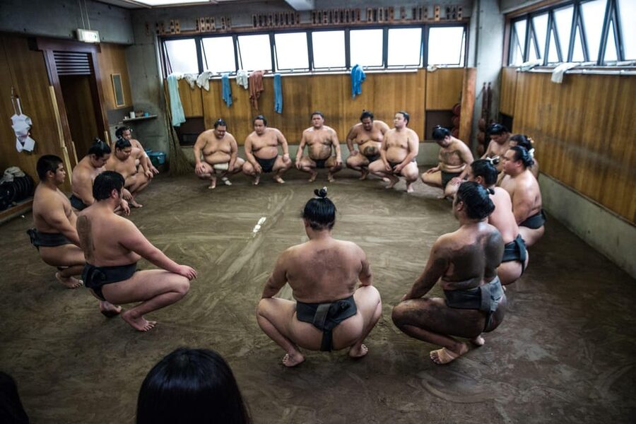 Tokyo: Sumo Morning Practice Viewing Tour - Sixty to ninety minutes of powerful, repetitive training