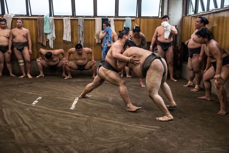 Tokyo: Sumo Morning Practice Viewing Tour - The stable master, questions, and possible photos