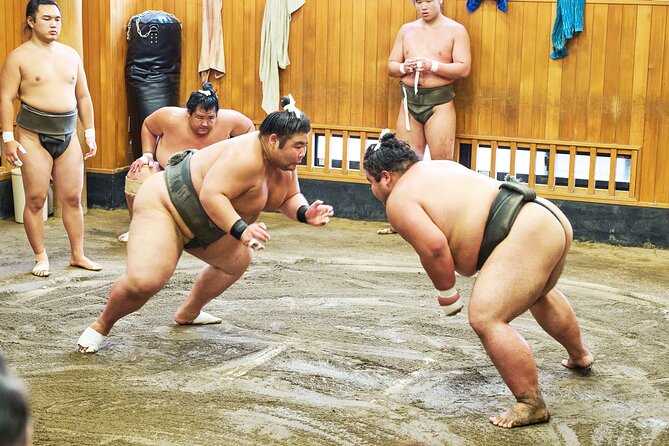 Tokyo: Sumo Morning Practice Viewing Tour at a Real Stable - Key points to know before booking