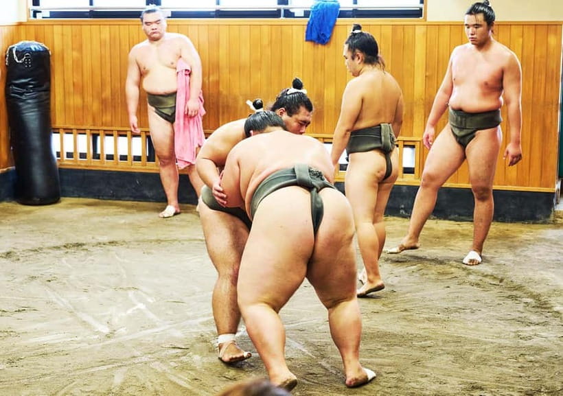Tokyo: Sumo Morning Practice Viewing Tour at a Real Stable - Practical details to know before booking