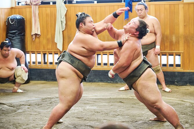 Tokyo: Sumo Morning Practice Viewing Tour at a Real Stable - Seeing sumo before the crowds arrive