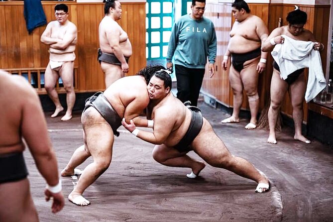 Tokyo: Sumo Morning Practice Viewing Tour at a Real Stable - Why the 90-minute practice period matters