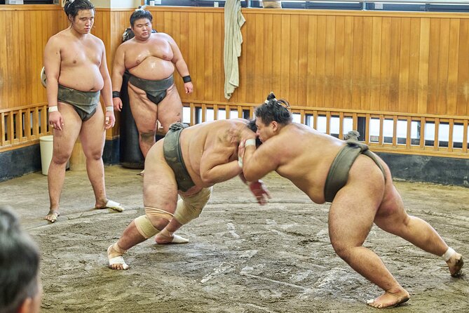 Tokyo: Sumo Morning Practice Viewing Tour at a Real Stable - The meeting at Kiyosumi-shirakawa Station