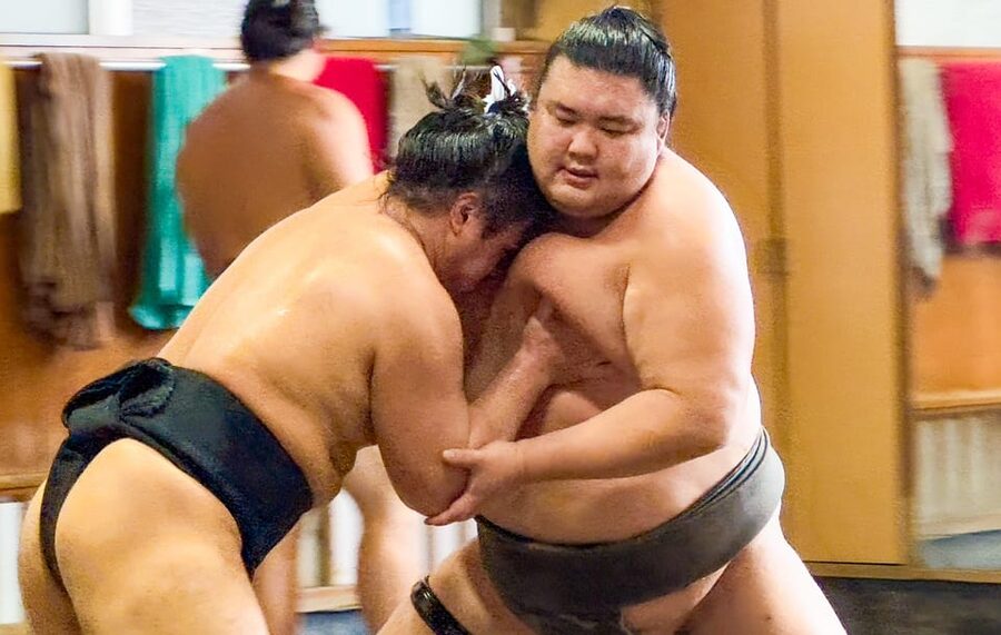 Tokyo: Sumo Morning Practice with journalists. Not fake show - Key points before you book