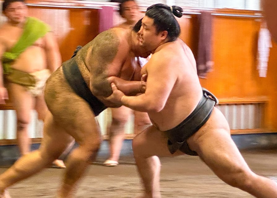 Tokyo: Sumo Morning Practice with journalists. Not fake show - Two hours inside Takasago-beya