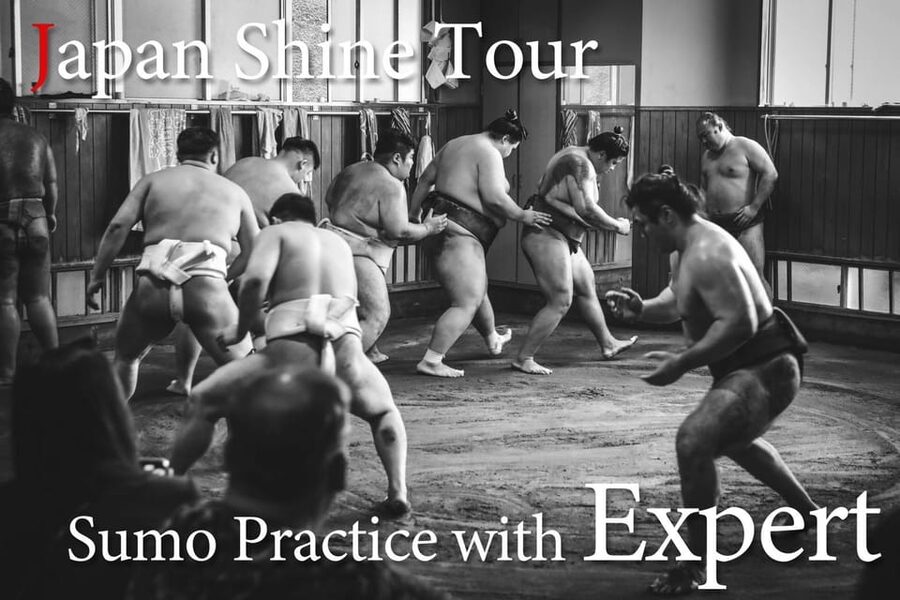 Tokyo: Sumo Morning Practice with journalists. Not fake show