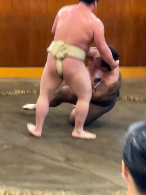 Tokyo: Sumo Morning Practice with Photo Banzuke and Guide - The short walk and introduction
