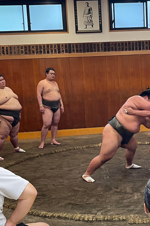 Tokyo: Sumo Morning Practice with Photo Banzuke and Guide - Who should book this sumo visit