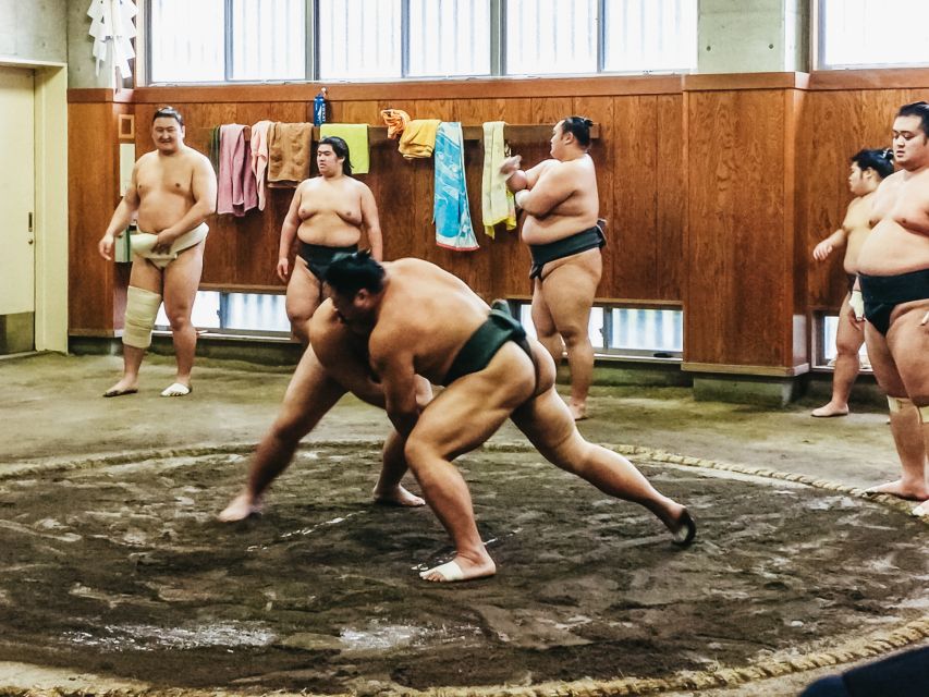 Tokyo: Sumo Morning Training Visit - Tournament Months Change the Value