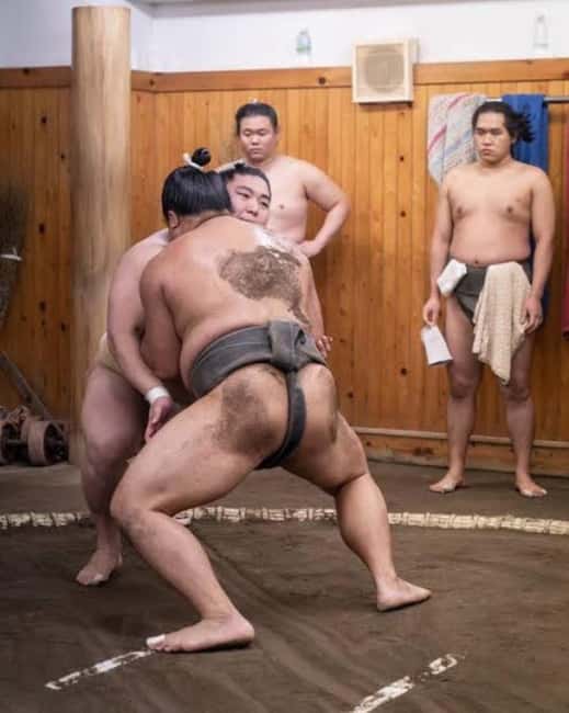 Tokyo: Sumo Show and Experience in Shinjuku - What happens during the 90-minute Shinjuku show