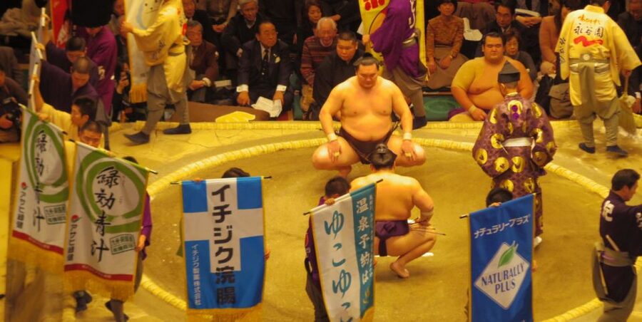 Tokyo: Sumo Tournament Tour with Chair Seat Tickets - Who Will Enjoy This Most?