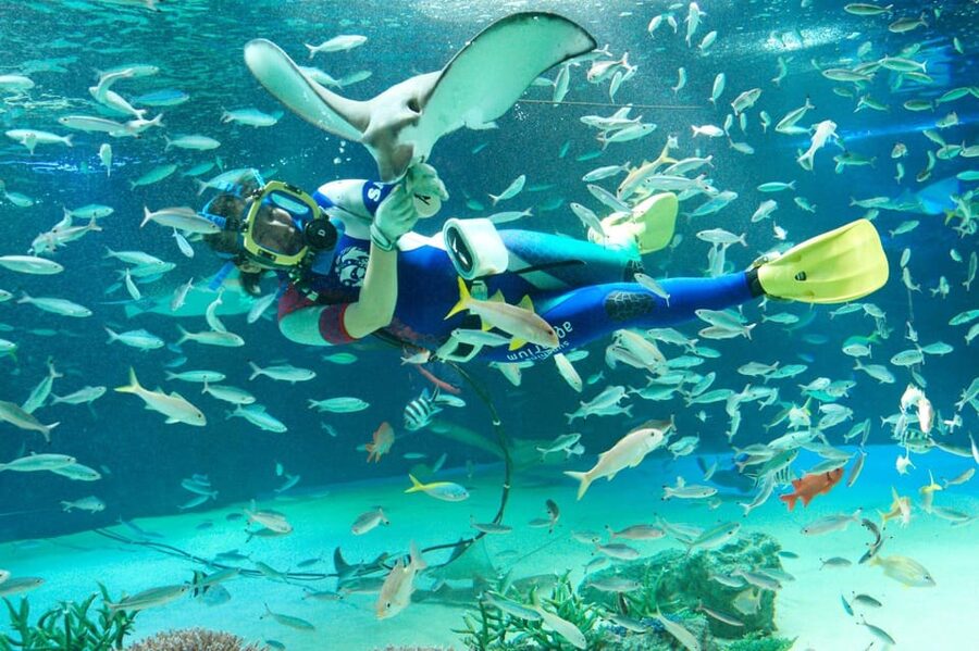 Tokyo: Sunshine Aquarium Entry Ticket - Why This Rooftop Aquarium Feels Different