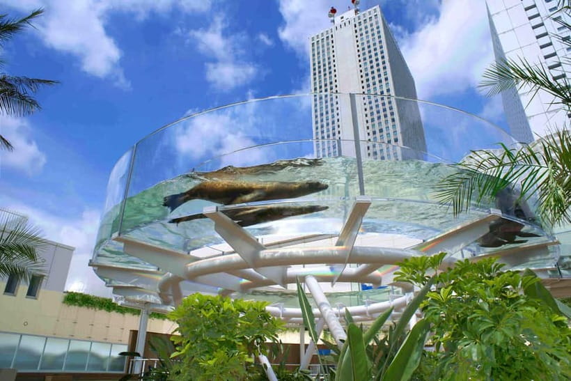 Tokyo: Sunshine Aquarium Entry Ticket - The Rooftop Route and Tropical Resort Feeling
