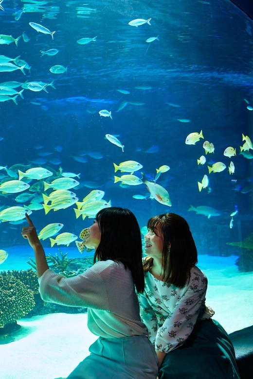 Tokyo: Sunshine Aquarium Entry Ticket - Penguins in the Sky, the Main Reason to Go
