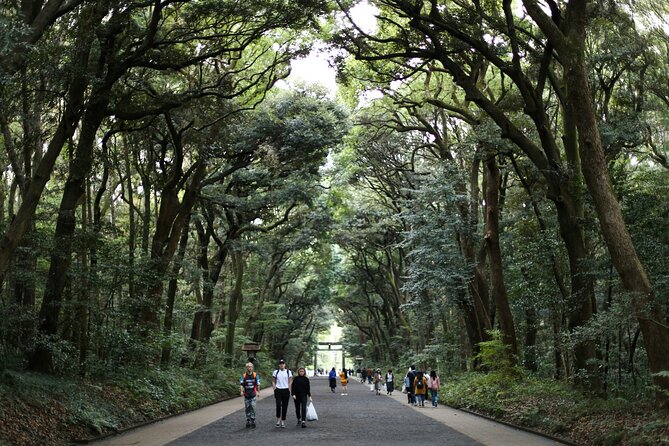 Tokyo Tailored 4 Hours Private Guided Tour - What the private format really gives you