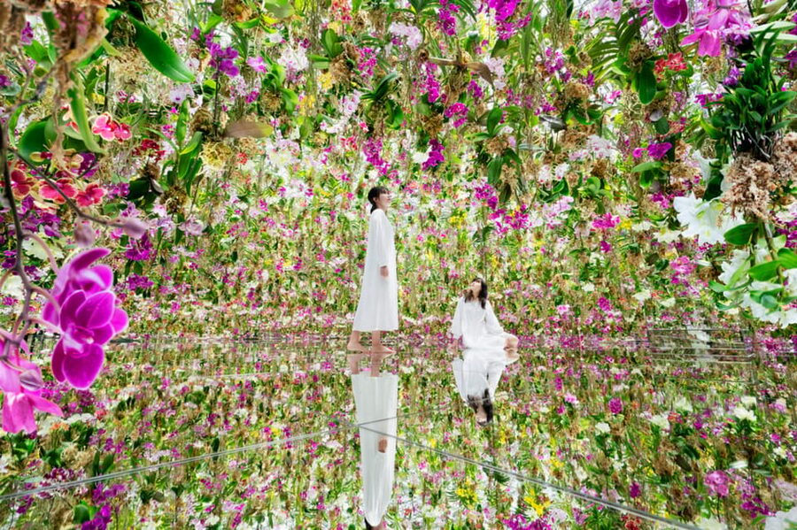 Tokyo: teamLab Planets TOKYO Digital Art Museum Entry Ticket - The first rooms: changing your pace