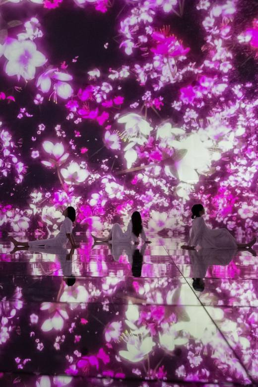 Tokyo: teamLab Planets TOKYO Digital Art Museum Entry Ticket - The Water Gallery and knee-deep surprises