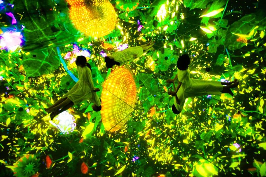Tokyo: teamLab Planets TOKYO Digital Art Museum Entry Ticket - Flowers that fall, rise, and surround you