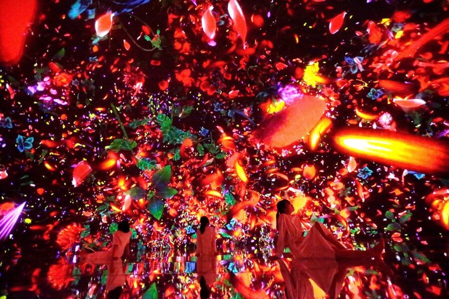 Tokyo: teamLab Planets TOKYO Digital Art Museum Entry Ticket - Mirrors, reflections, and the five-senses idea
